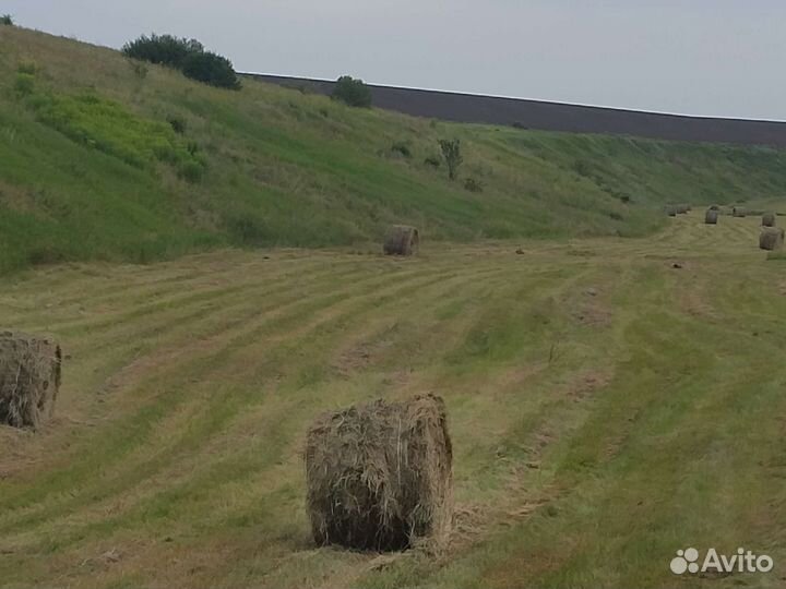 Продам сено в рулонах