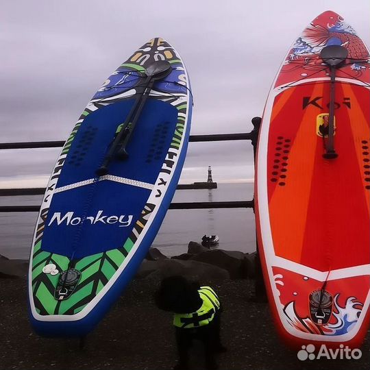 Сапборд Аренда / Прокат Sup сутки