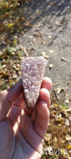 Аметисты на породе