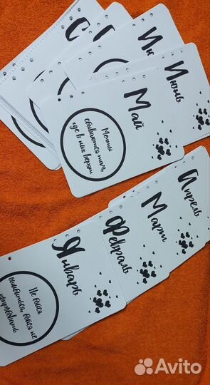 Ежедневник сменный блок а5