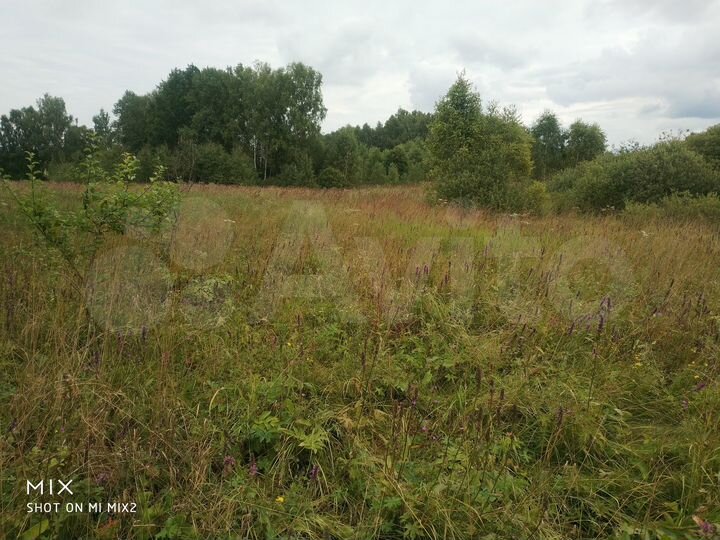 Участок 80 сот. (ИЖС)