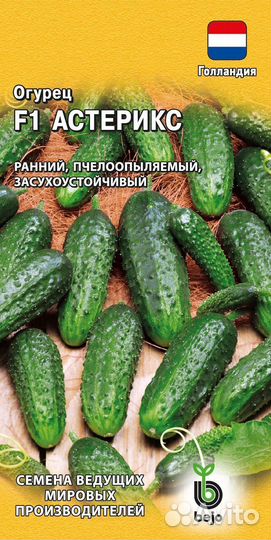 Рассада огурцов, помидор, перцев