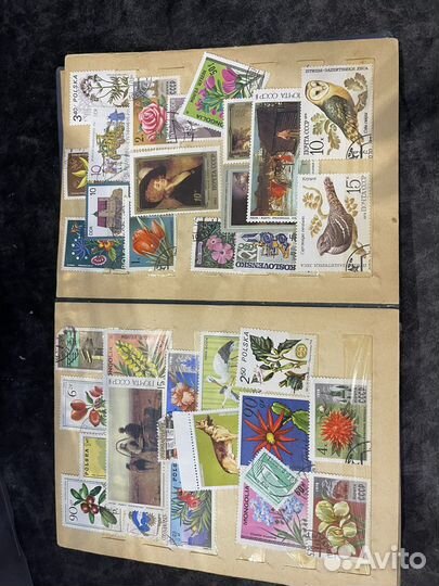 Коллекция марок