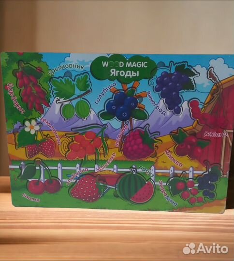 Деревянный сортер 