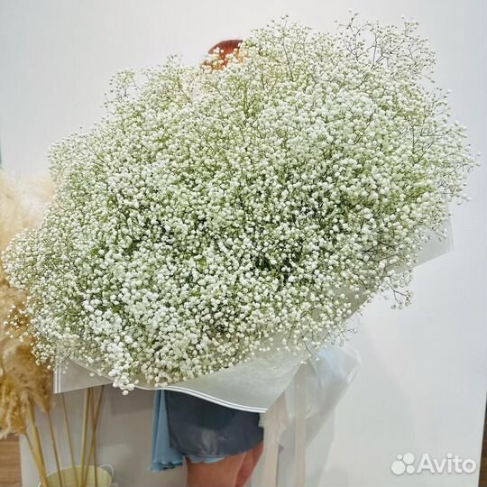 Элит букет 25 веток белоснежной гипсофилы