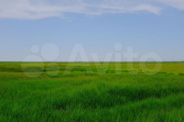 Участок 7 сот. (СНТ, ДНП)