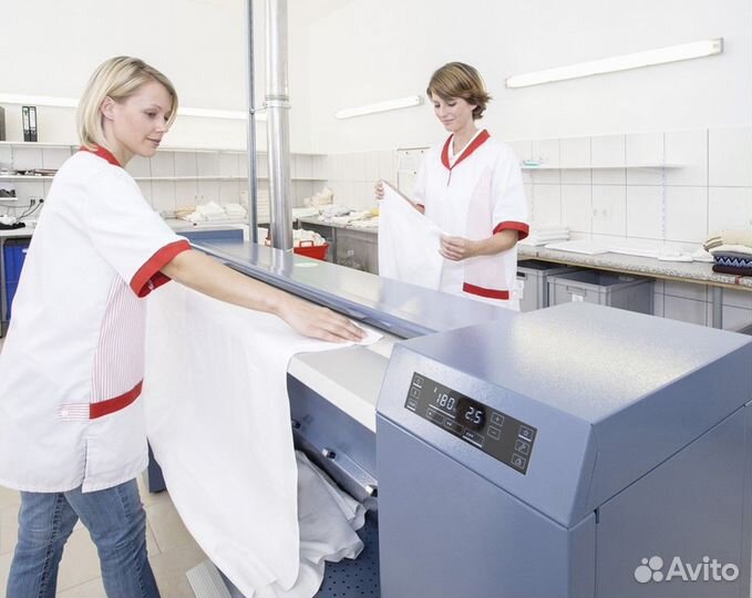 Гладильщица в ночь