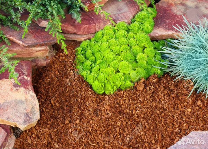 Кора Мульча Лиственницы сибирской в Крыму