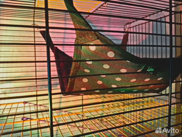 Клетка для грызунов большая