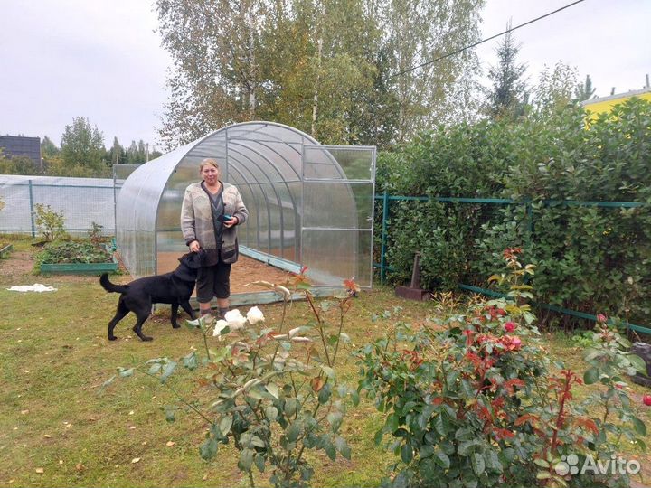 Теплица 3 на 4 из поликарбоната