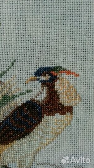 Картина. Вышивка крестиком в рамке 37х57 (28х48)
