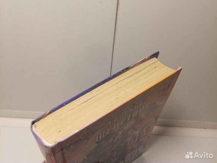 Книга Е. Щепетнов