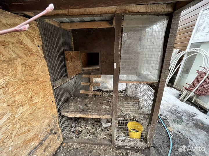 Курятник бу