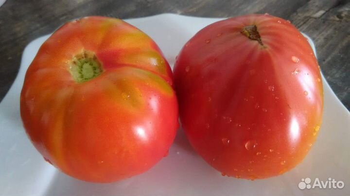 Сортовые томаты