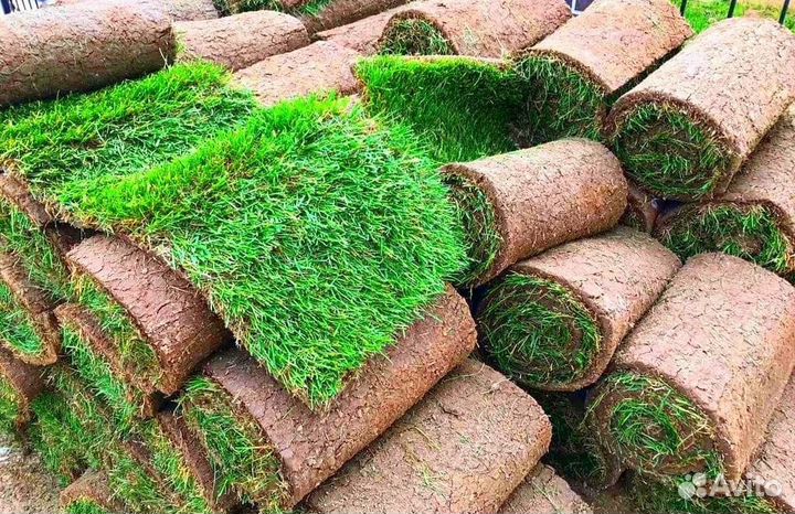 Рулонный газон. Озеленение участка под ключ