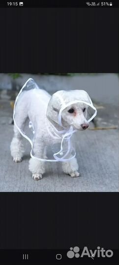 Одежда для собак