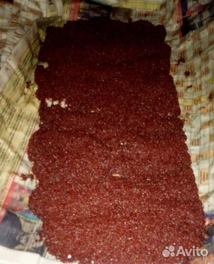 Замороженный корм для рыб в блистерах