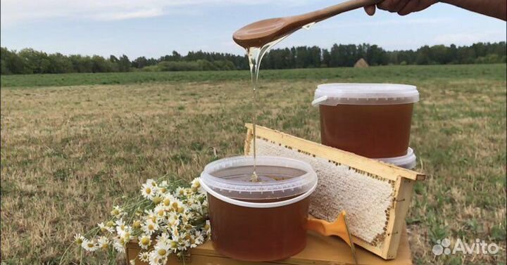 Мёд липовый, мед цветочный