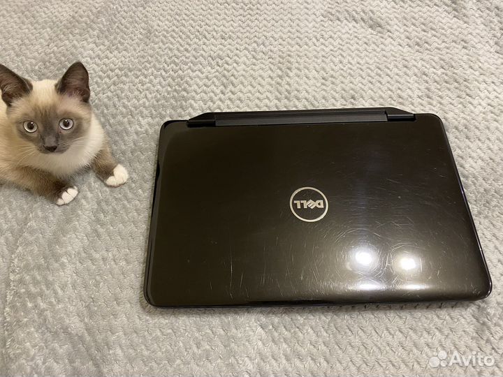 Ноутбук dell