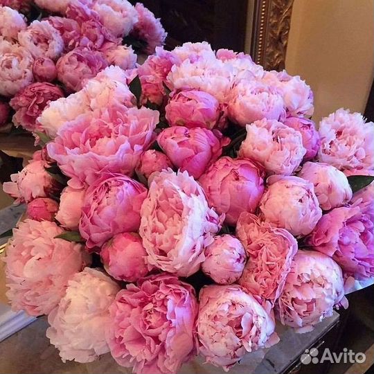 Пионы Букет