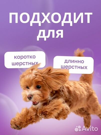 Графический дизайнер удаленно