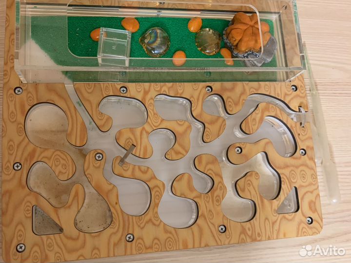 Муравьиная ферма