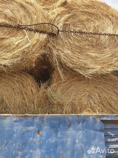 Сено степное зеленое в рулонах