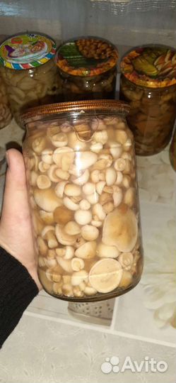 Грибы маринованные