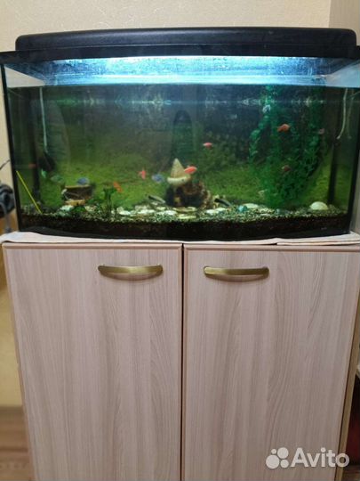 Аквариум с рыбками на тумбочке