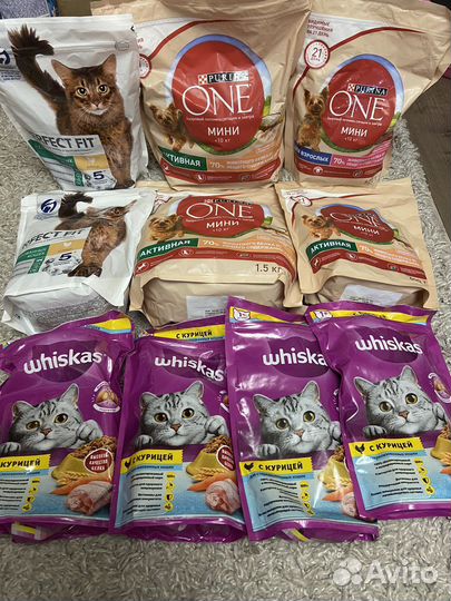 Корма сухие для кошек и собак