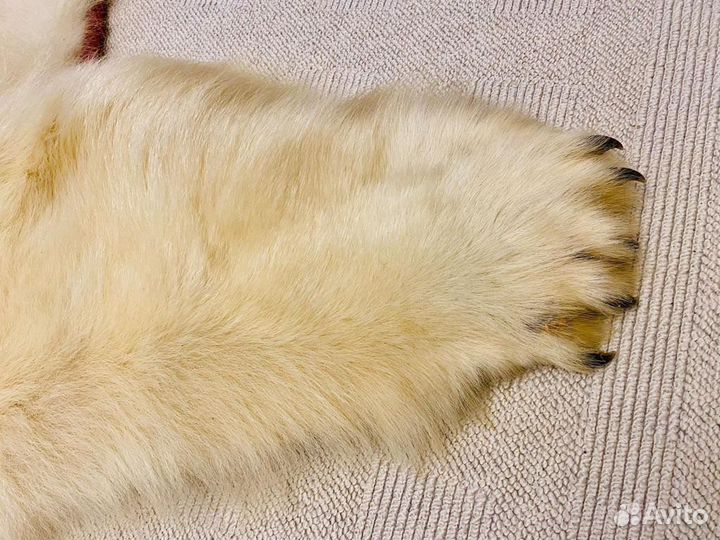 Шкура белого медведя имитация