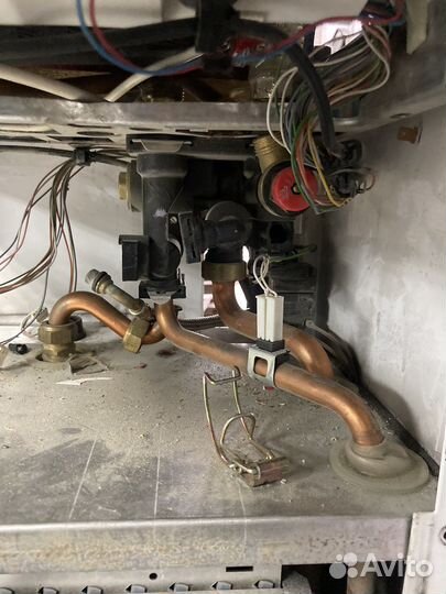 Protherm рысь запчасти