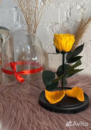 Роза в колбе. Жёлтая