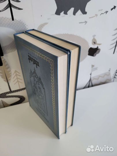 Книги Рыцари