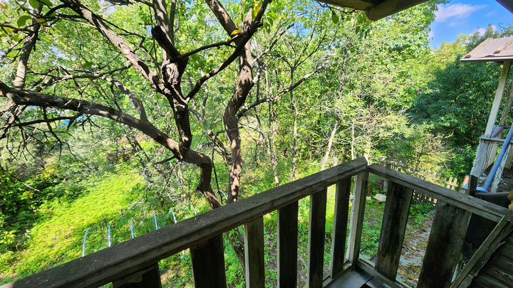 Дача 51 м² на участке 5 сот.