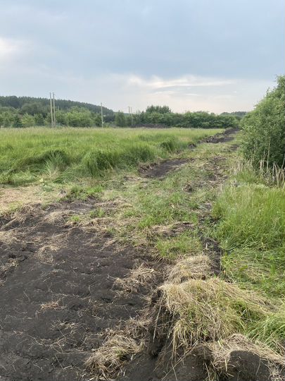 Участок 40 сот. (ИЖС)