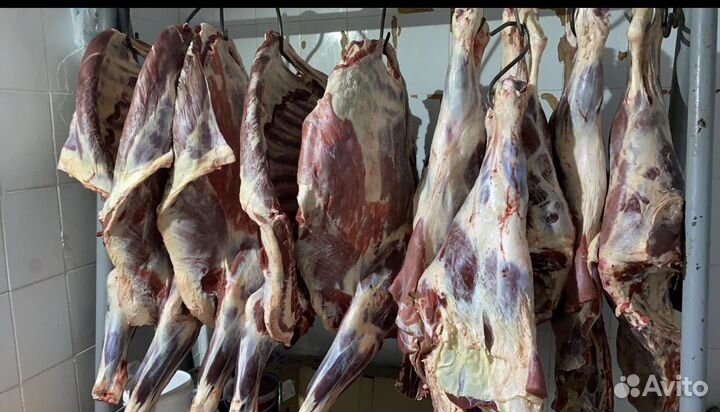 Мясо свинина оптом и в розницу