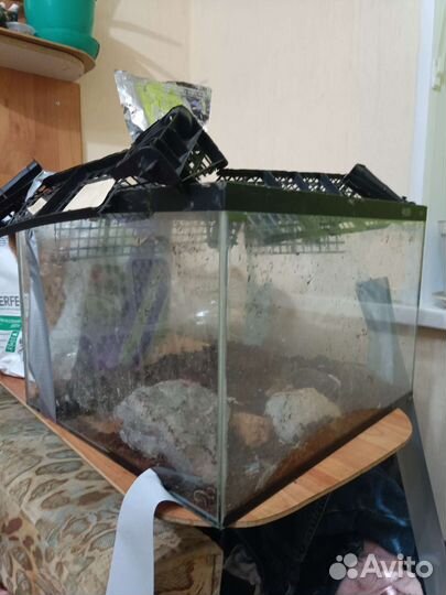 Аквариум с улитками в подарок