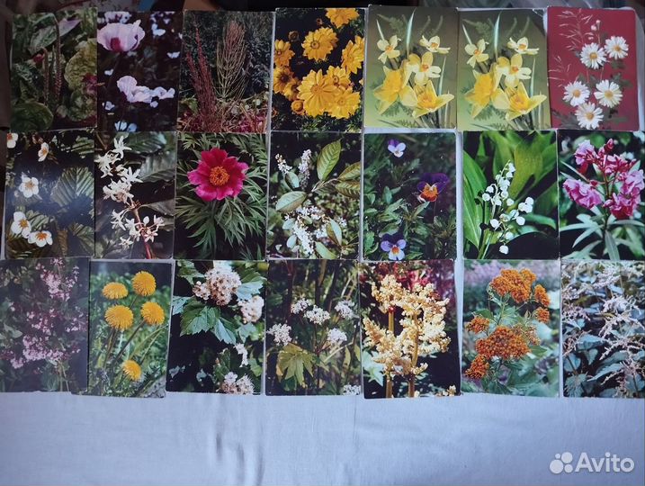 Разные открытки СССР