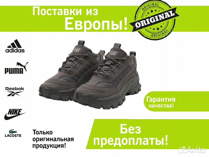 Кроссовки Caterpillar
