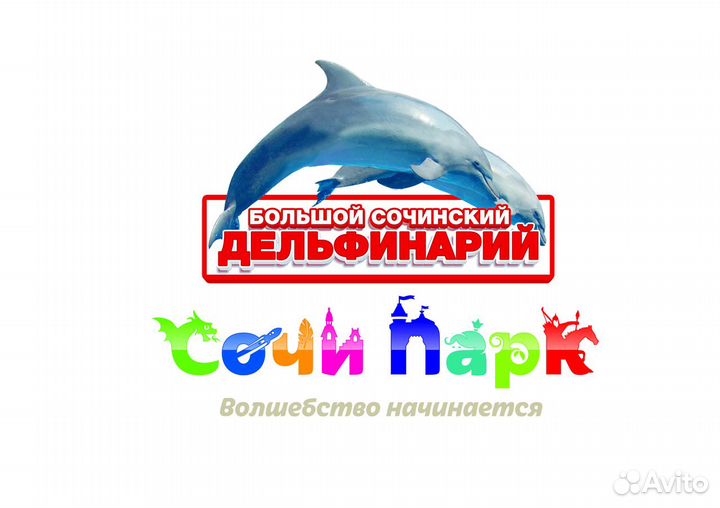 Администратор зала