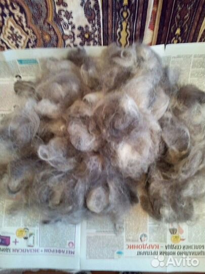 Шерсть собачья (пух)