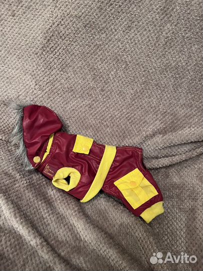 Одежда для маленьких собак