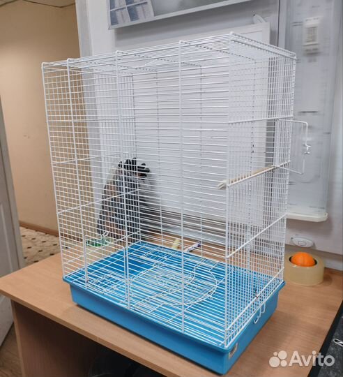 Большая клетка для птиц