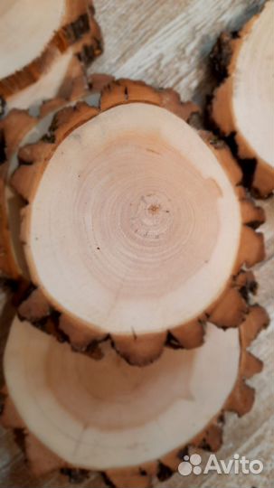 Спилы ивы шлифованные