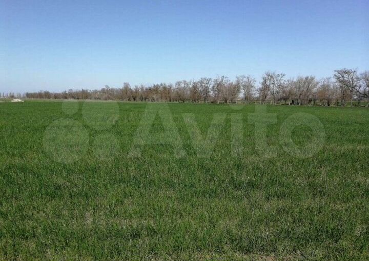 Участок 7,9 сот. (ИЖС)