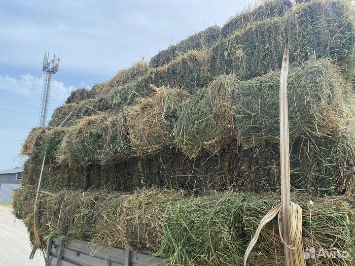 Сено в тюках