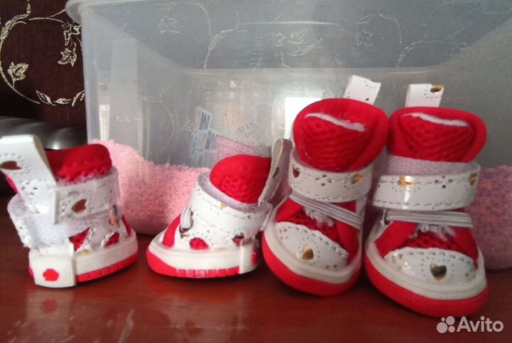 Ботики для мелких собак