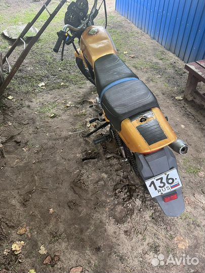 Gryphon orion 125