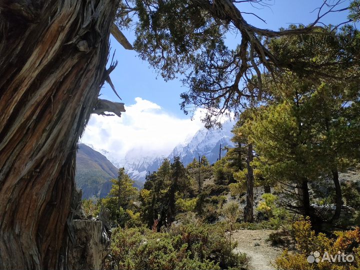 Тур в Непал перезагрузка p-3594